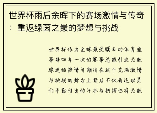 世界杯雨后余晖下的赛场激情与传奇：重返绿茵之巅的梦想与挑战